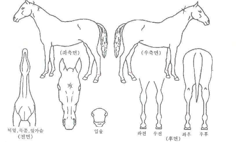 ���¼������� ����,���,�޸�,�λ�,�ٸ��� Ư¡����