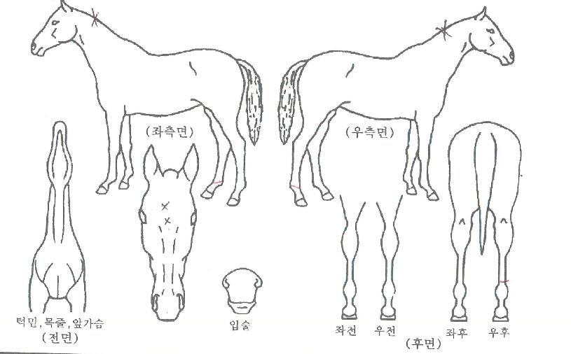 ½Ã°£ÀǼû°áÀÇ Ãø¸é,¿ì¸é,µÞ¸é,µÎ»ó,´Ù¸®ÀÇ Æ¯Â¡µµÇØ