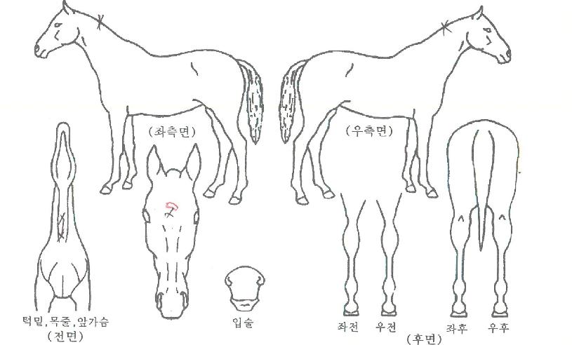 ¸ÞÀÌÅ·ÀÇ Ãø¸é,¿ì¸é,µÞ¸é,µÎ»ó,´Ù¸®ÀÇ Æ¯Â¡µµÇØ