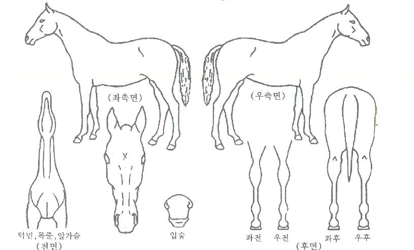 �����Լ��� ����,���,�޸�,�λ�,�ٸ��� Ư¡����