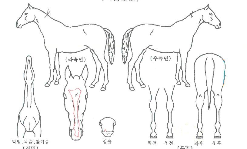 ��������� ����,���,�޸�,�λ�,�ٸ��� Ư¡����