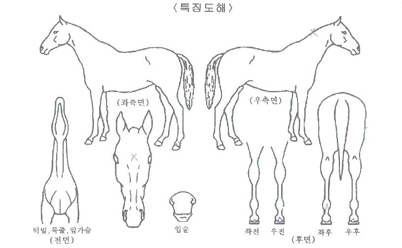 ���������� ����,���,�޸�,�λ�,�ٸ��� Ư¡����