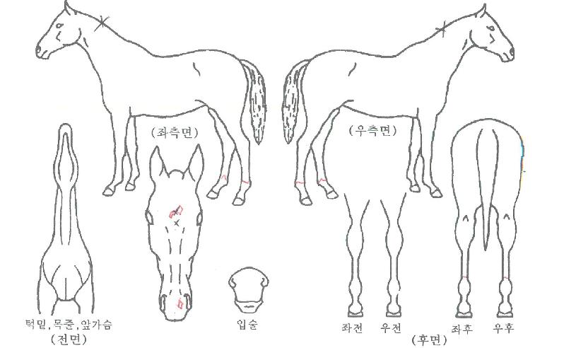 ���ڵ帲�� ����,���,�޸�,�λ�,�ٸ��� Ư¡����