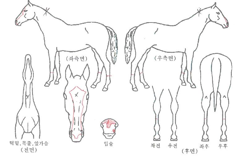 �������� ����,���,�޸�,�λ�,�ٸ��� Ư¡����