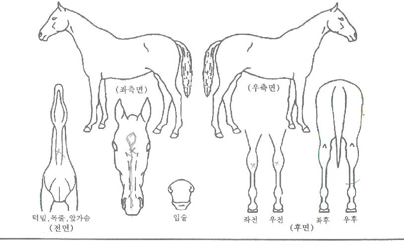 �������� ����,���,�޸�,�λ�,�ٸ��� Ư¡����