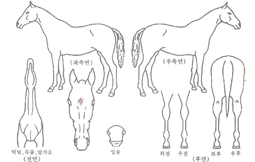 �ݺ������� ����,���,�޸�,�λ�,�ٸ��� Ư¡����