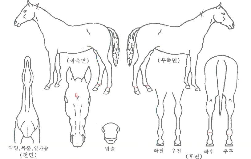 ������ġ���� ����,���,�޸�,�λ�,�ٸ��� Ư¡����