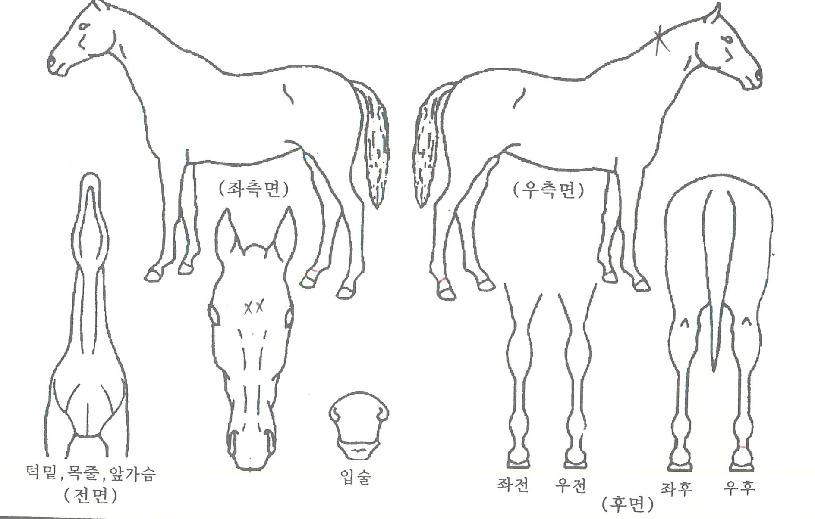 Ŭ������ ����,���,�޸�,�λ�,�ٸ��� Ư¡����