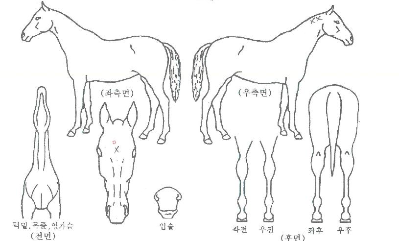 ���������� ����,���,�޸�,�λ�,�ٸ��� Ư¡����