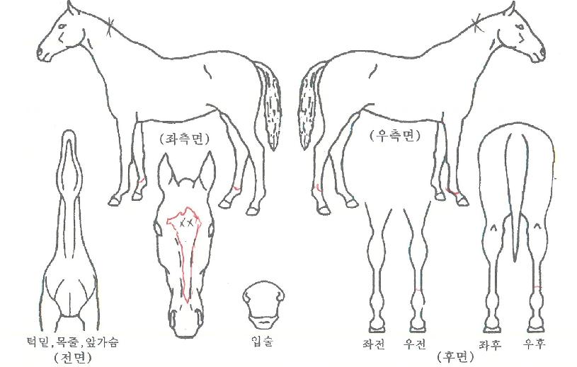 ���Կ��̽��� ����,���,�޸�,�λ�,�ٸ��� Ư¡����