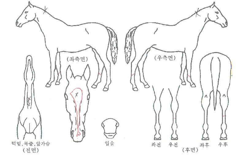 ���ں����� ����,���,�޸�,�λ�,�ٸ��� Ư¡����