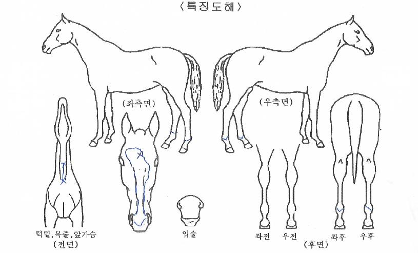 ����Ǯ������ ����,���,�޸�,�λ�,�ٸ��� Ư¡����