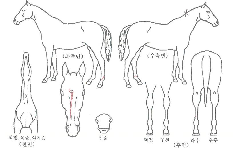 ���̽����� ����,���,�޸�,�λ�,�ٸ��� Ư¡����