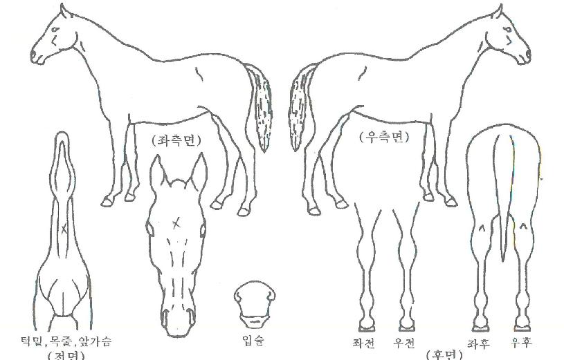 Ŭ�����������ڸ��� ����,���,�޸�,�λ�,�ٸ��� Ư¡����