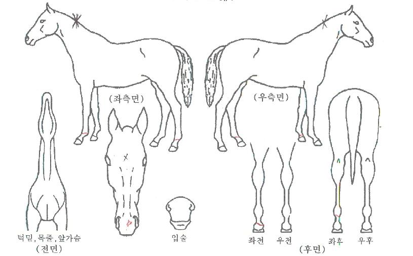 ��������ũ�� ����,���,�޸�,�λ�,�ٸ��� Ư¡����