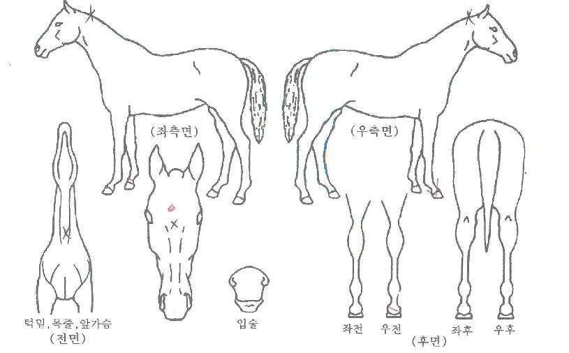 ����ް������� ����,���,�޸�,�λ�,�ٸ��� Ư¡����