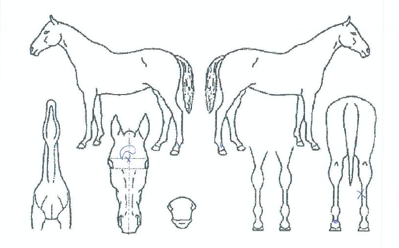 �������� ����,���,�޸�,�λ�,�ٸ��� Ư¡����