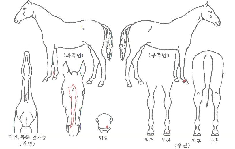 ��̳׽��� ����,���,�޸�,�λ�,�ٸ��� Ư¡����