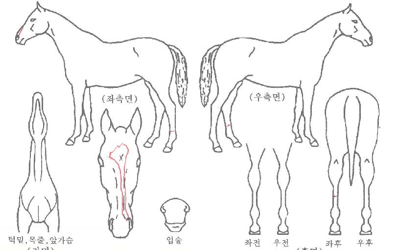 ��翡�̽��� ����,���,�޸�,�λ�,�ٸ��� Ư¡����