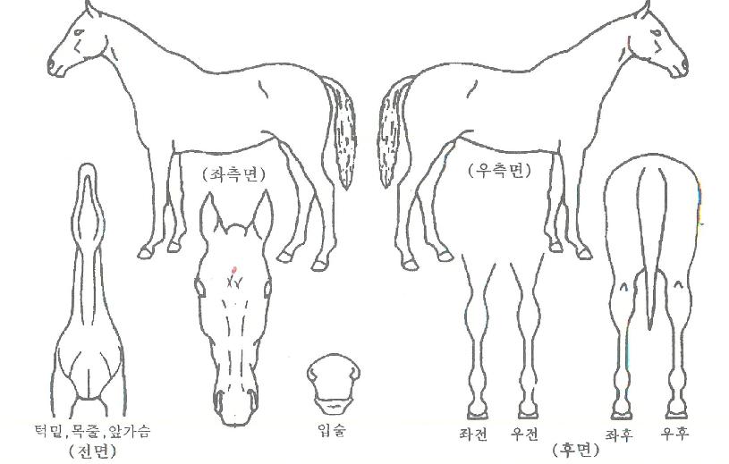 �ƽ��Ŀ��� ����,���,�޸�,�λ�,�ٸ��� Ư¡����