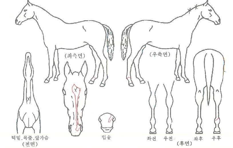 ��þ������ ����,���,�޸�,�λ�,�ٸ��� Ư¡����