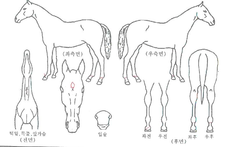 �������ڸ��� ����,���,�޸�,�λ�,�ٸ��� Ư¡����