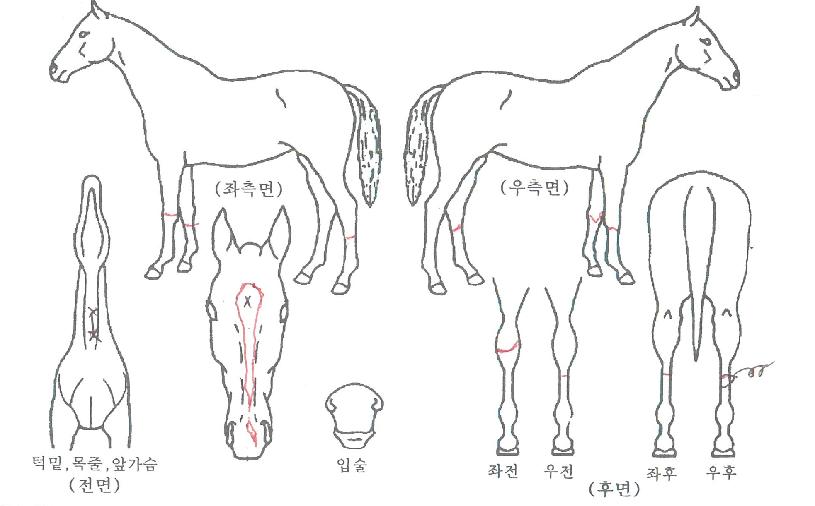 �������� ����,���,�޸�,�λ�,�ٸ��� Ư¡����