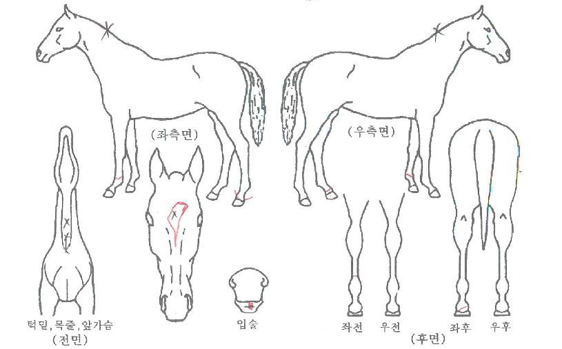 źź������ ����,���,�޸�,�λ�,�ٸ��� Ư¡����