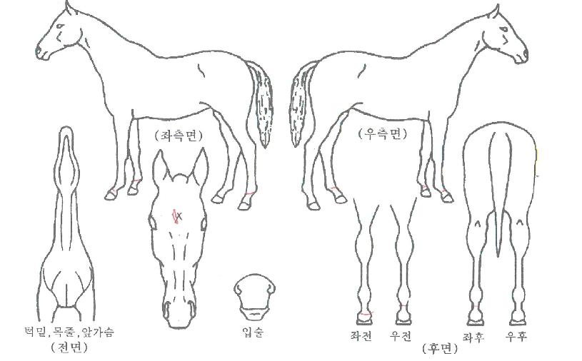 �߼����� ����,���,�޸�,�λ�,�ٸ��� Ư¡����