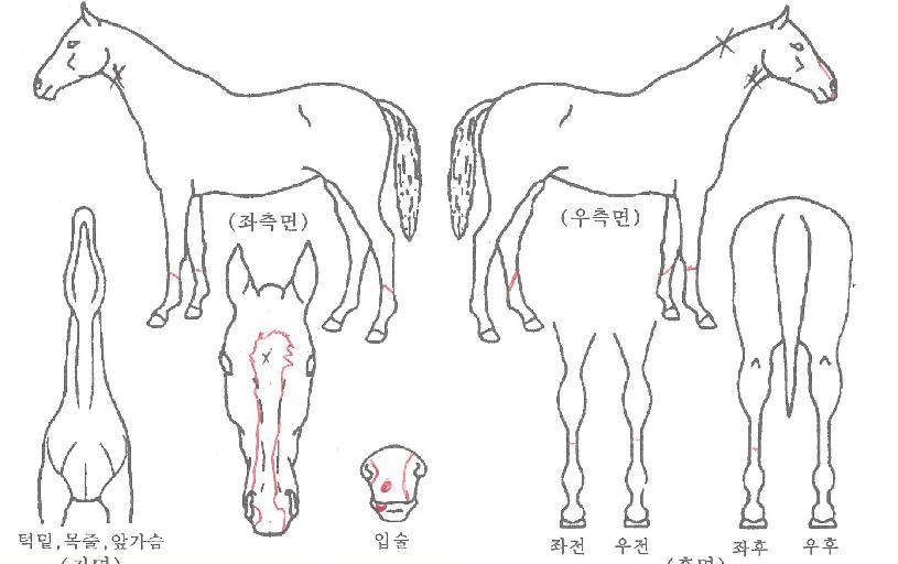 ��´����� ����,���,�޸�,�λ�,�ٸ��� Ư¡����