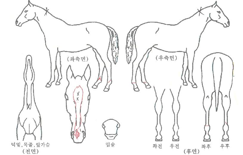 ũ���������� ����,���,�޸�,�λ�,�ٸ��� Ư¡����