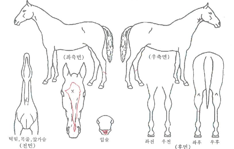 ��Ű������ ����,���,�޸�,�λ�,�ٸ��� Ư¡����