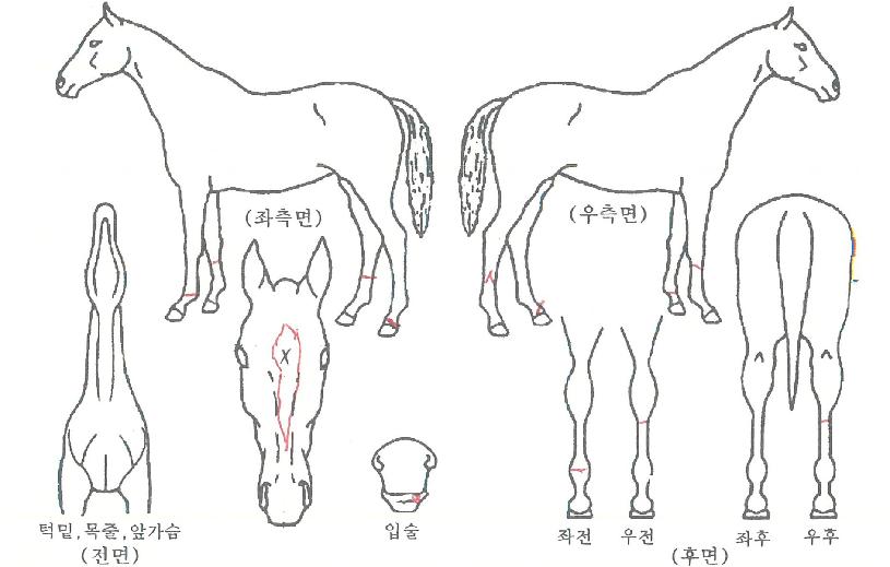 Ƽ������� ����,���,�޸�,�λ�,�ٸ��� Ư¡����