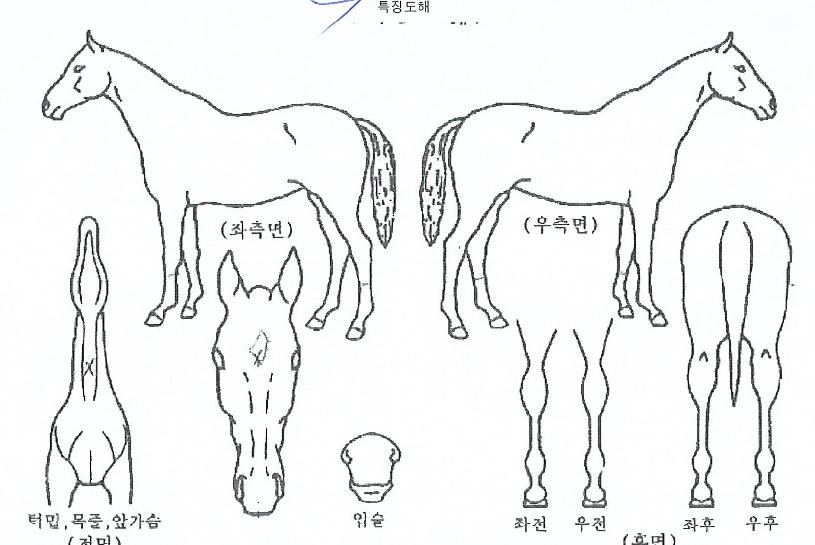 Ǯ�������� ����,���,�޸�,�λ�,�ٸ��� Ư¡����