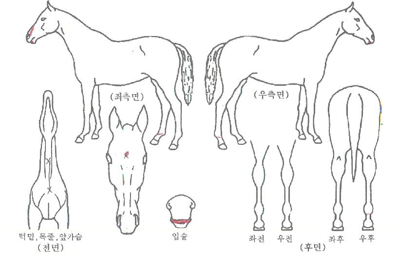 �������� ����,���,�޸�,�λ�,�ٸ��� Ư¡����