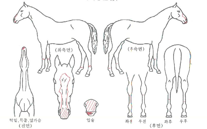 ���и������� ����,���,�޸�,�λ�,�ٸ��� Ư¡����