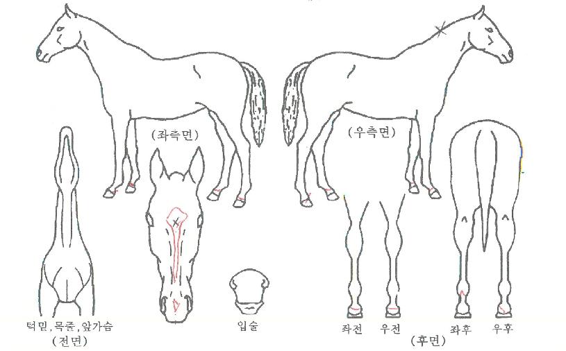 ��Ʈ���������� ����,���,�޸�,�λ�,�ٸ��� Ư¡����