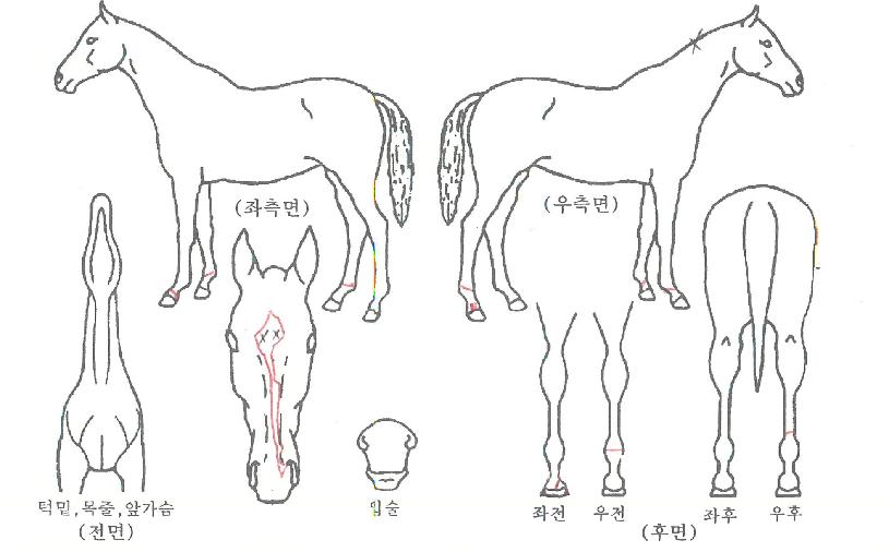 �ʵ������� ����,���,�޸�,�λ�,�ٸ��� Ư¡����