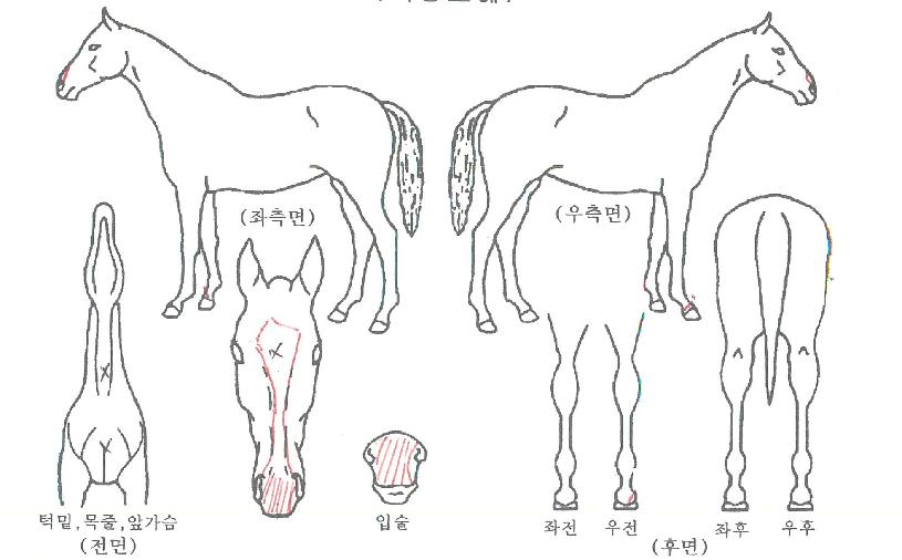 ������˵��� ����,���,�޸�,�λ�,�ٸ��� Ư¡����