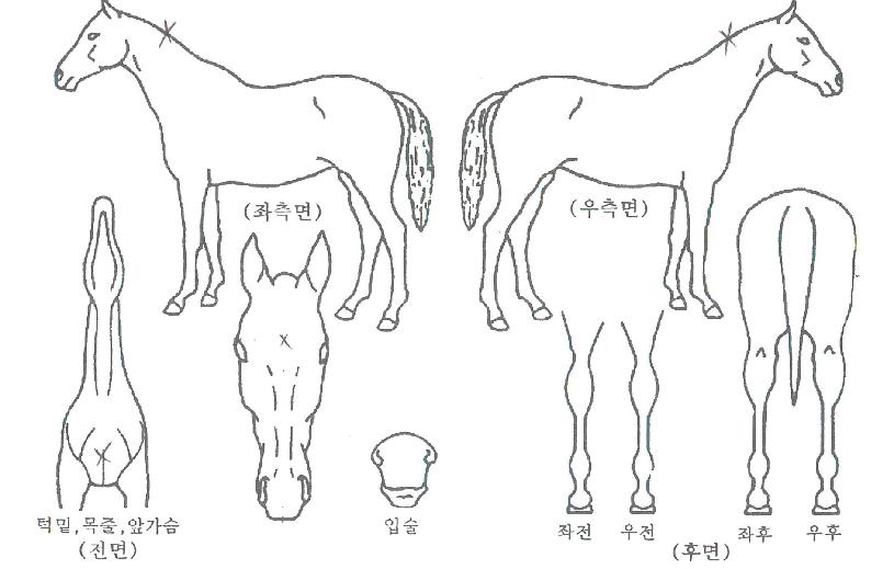 �ݺ������� ����,���,�޸�,�λ�,�ٸ��� Ư¡����