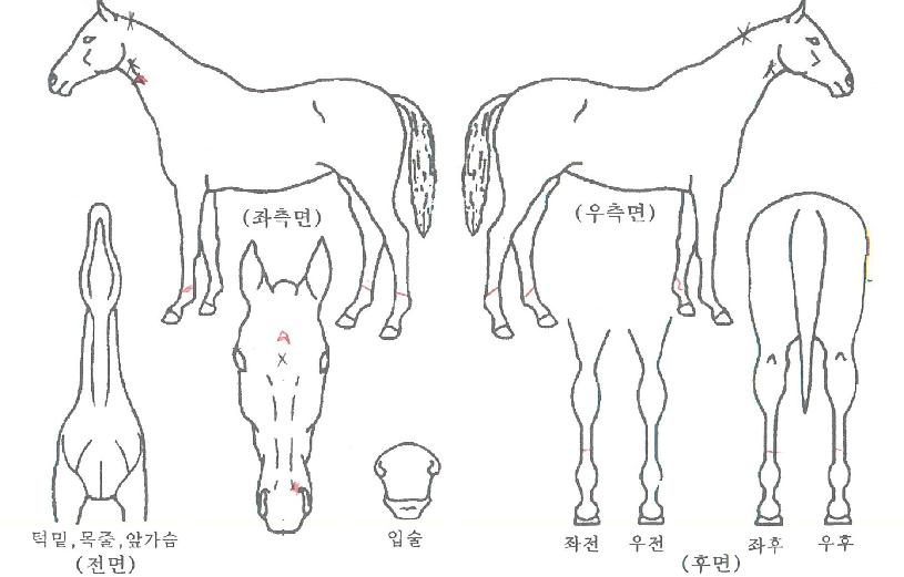 ���̽������� ����,���,�޸�,�λ�,�ٸ��� Ư¡����