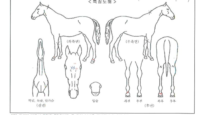 ������ ����,���,�޸�,�λ�,�ٸ��� Ư¡����