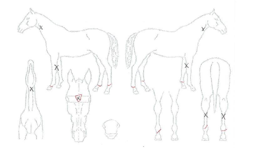 �̽���������� ����,���,�޸�,�λ�,�ٸ��� Ư¡����