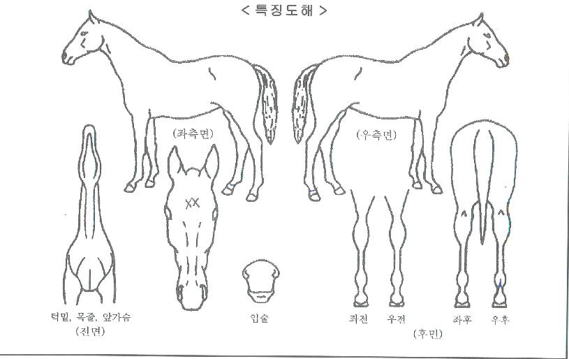 �������� ����,���,�޸�,�λ�,�ٸ��� Ư¡����