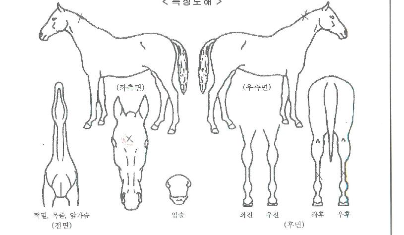 �������ݱ��� ����,���,�޸�,�λ�,�ٸ��� Ư¡����