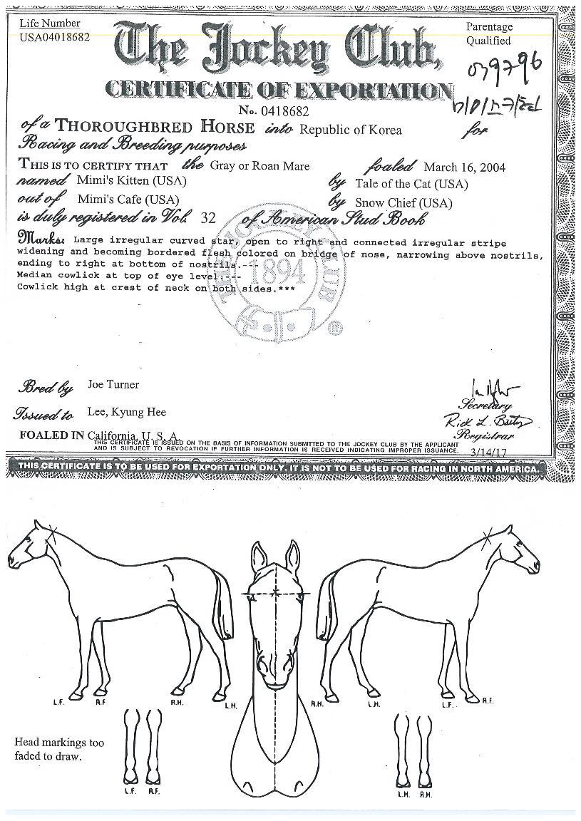 �̹���Ű���� ����,���,�޸�,�λ�,�ٸ��� Ư¡����