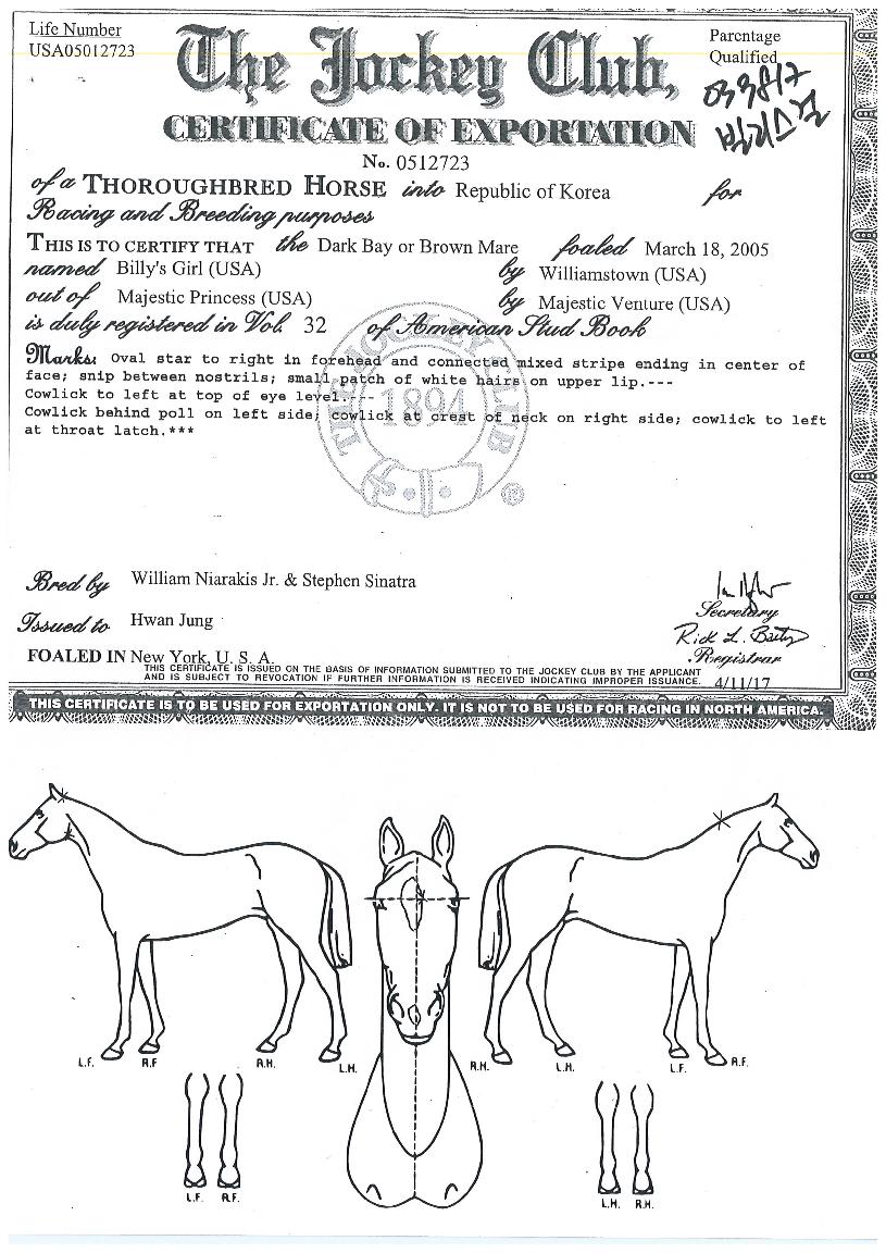 ºô¸®Áî°ÉÀÇ Ãø¸é,¿ì¸é,µÞ¸é,µÎ»ó,´Ù¸®ÀÇ Æ¯Â¡µµÇØ