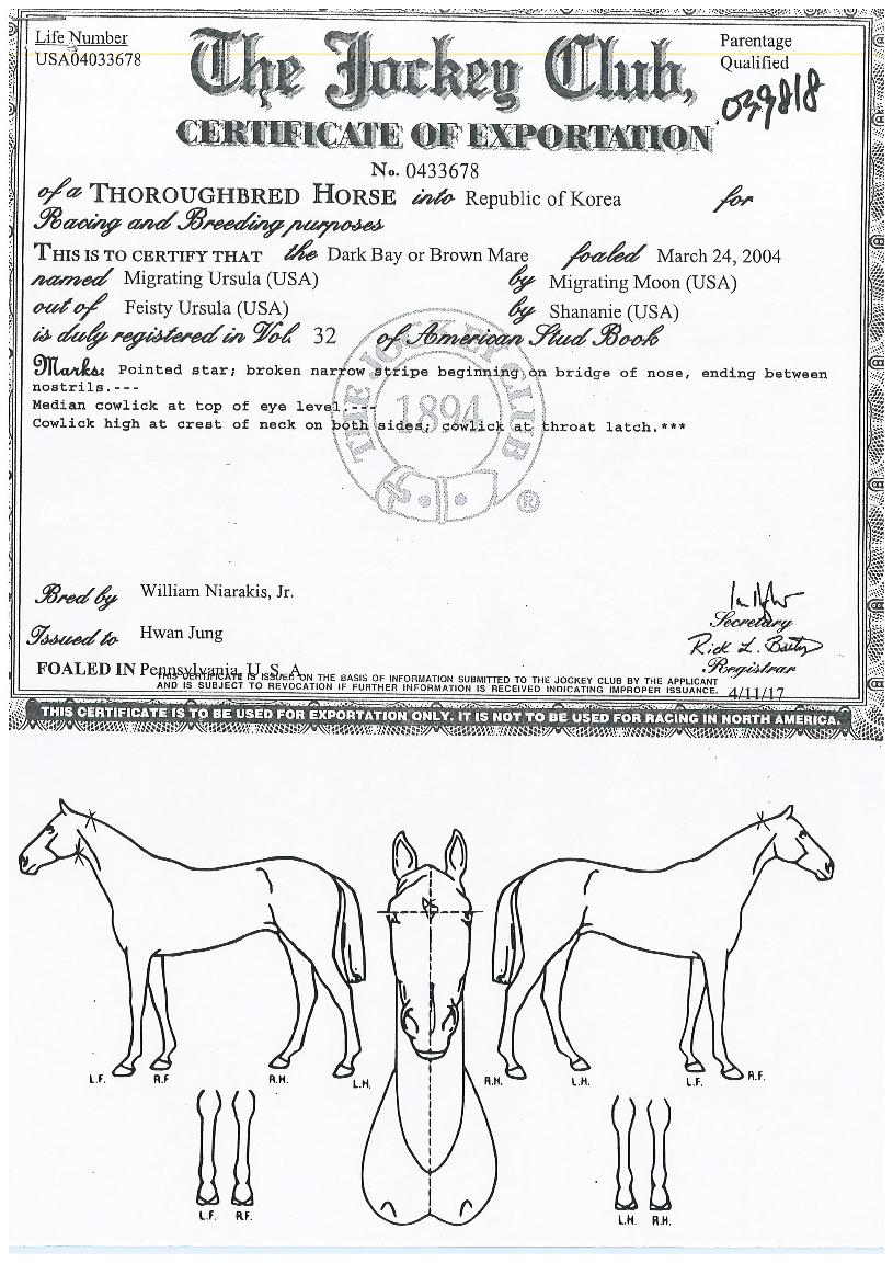 �̱׷����ÿ츣���� ����,���,�޸�,�λ�,�ٸ��� Ư¡����