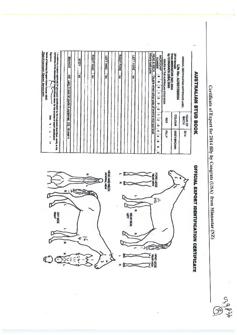 ������Ÿ�� ����,���,�޸�,�λ�,�ٸ��� Ư¡����