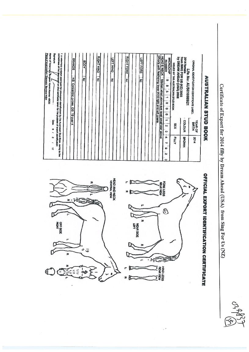 ����帲�� ����,���,�޸�,�λ�,�ٸ��� Ư¡����